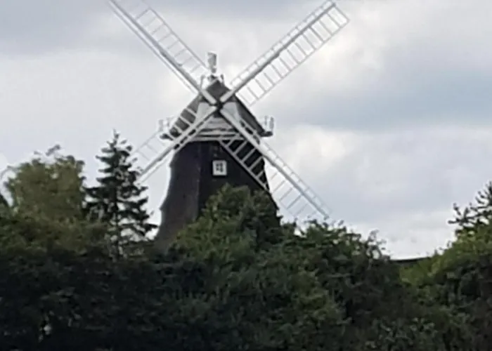 Muehlenblick