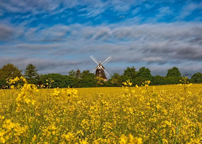 Muehlenblick